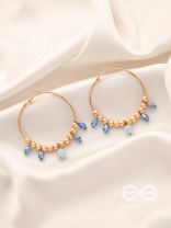 The Sun Shower- Golden Embellished  Earrings
